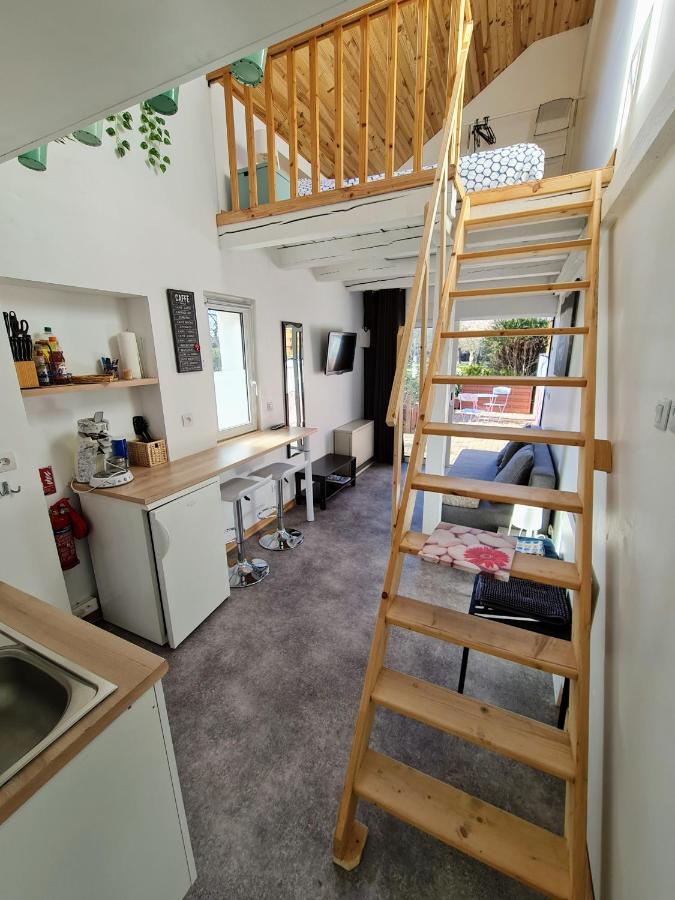 Studio Mezzanine Chez Papou, Ville Et Foret Strasbourg Kültér fotó