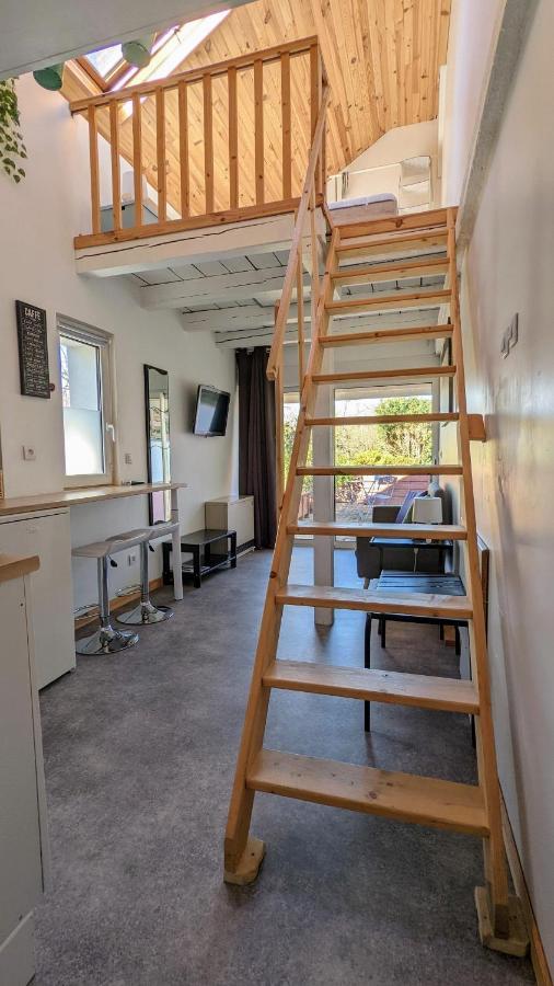 Studio Mezzanine Chez Papou, Ville Et Foret Strasbourg Kültér fotó