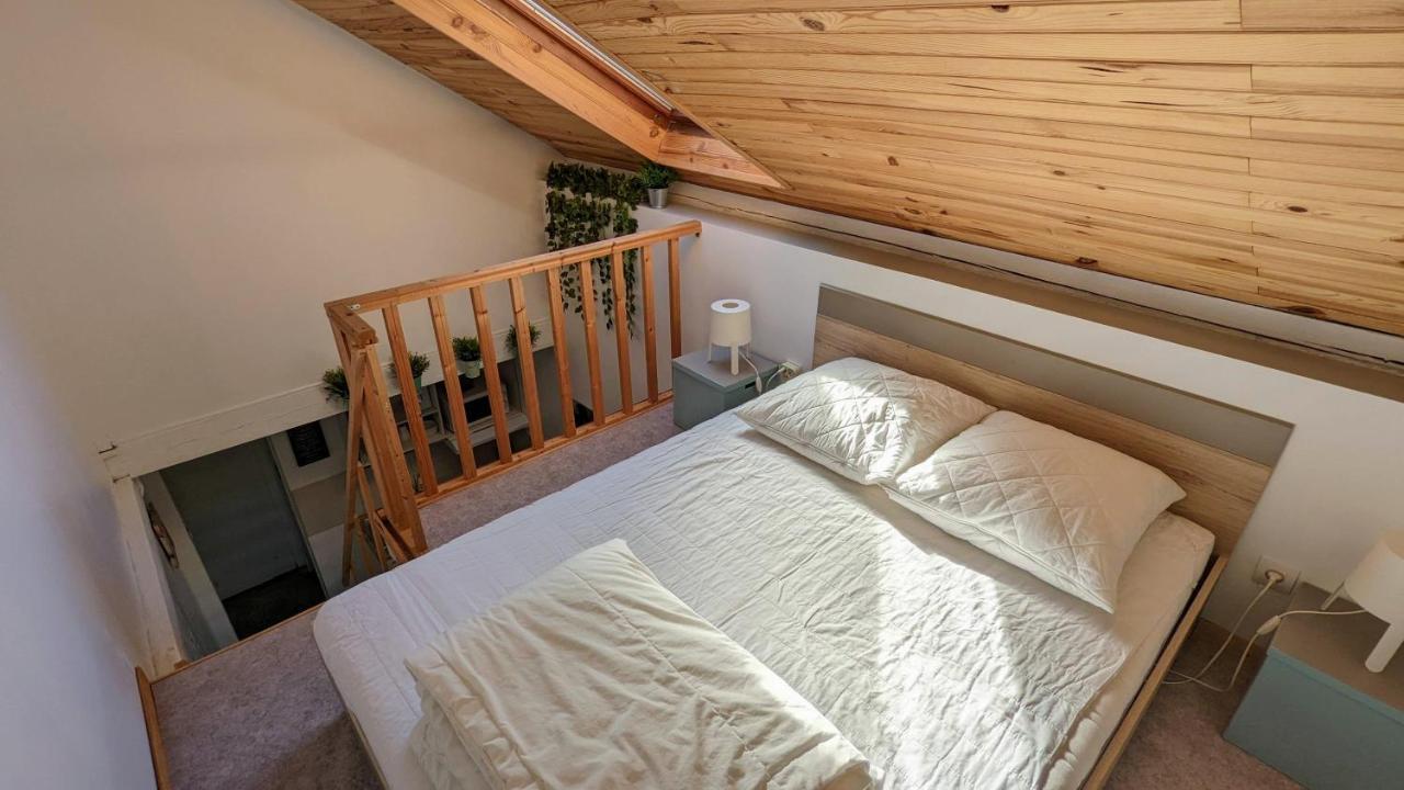 Studio Mezzanine Chez Papou, Ville Et Foret Strasbourg Kültér fotó